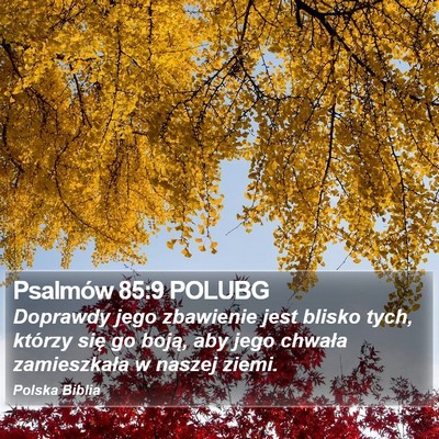 Psalmów 85:9 POLUBG Bible Verse Image
