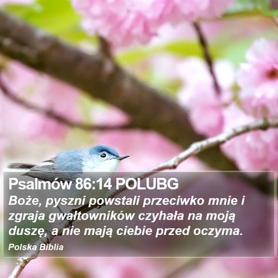 Psalmów 86:14 POLUBG Bible Verse Image