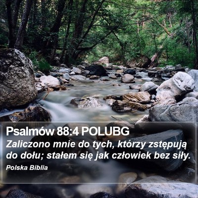Psalmów 88:4 POLUBG Bible Verse Image