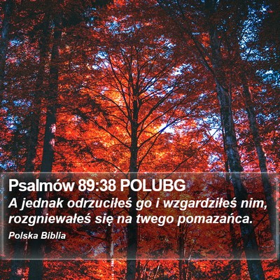 Psalmów 89:38 POLUBG Bible Verse Image