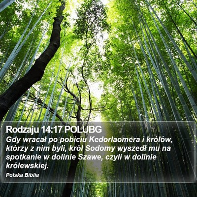 Rodzaju 14:17 POLUBG Bible Verse Image