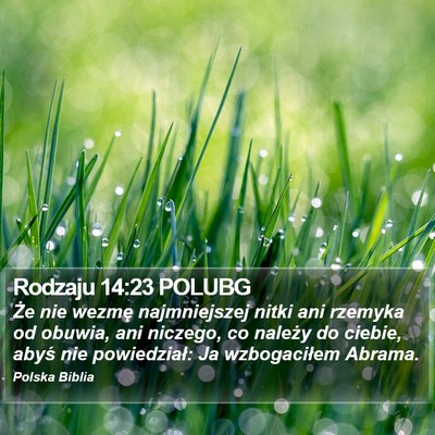 Rodzaju 14:23 POLUBG Bible Verse Image