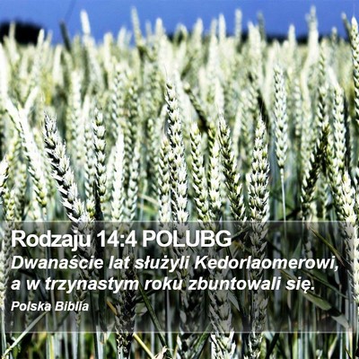 Rodzaju 14:4 POLUBG Bible Verse Image