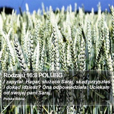 Rodzaju 16:8 POLUBG Bible Verse Image