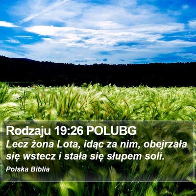 Rodzaju 19:26 POLUBG Bible Verse Image