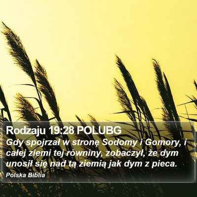 Rodzaju 19:28 POLUBG Bible Verse Image