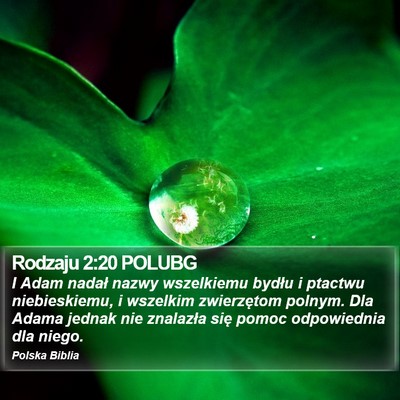 Rodzaju 2:20 POLUBG Bible Verse Image