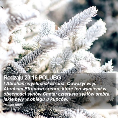 Rodzaju 23:16 POLUBG Bible Verse Image