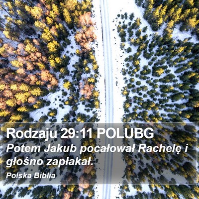 Rodzaju 29:11 POLUBG Bible Verse Image