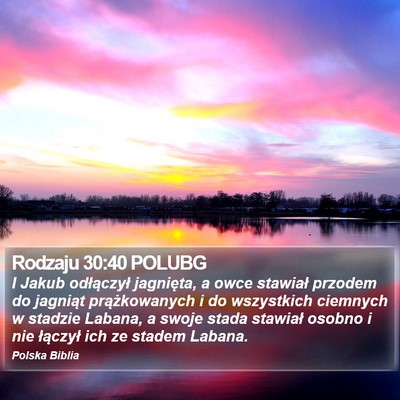 Rodzaju 30:40 POLUBG Bible Verse Image