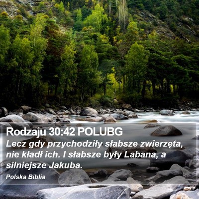 Rodzaju 30:42 POLUBG Bible Verse Image