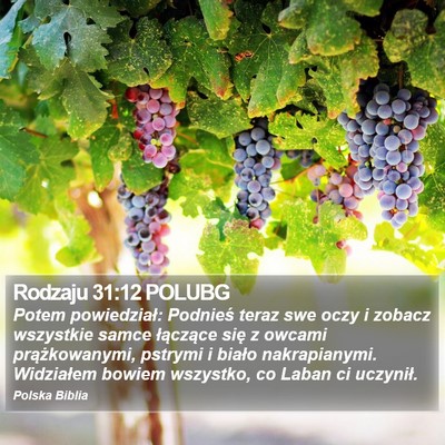 Rodzaju 31:12 POLUBG Bible Verse Image