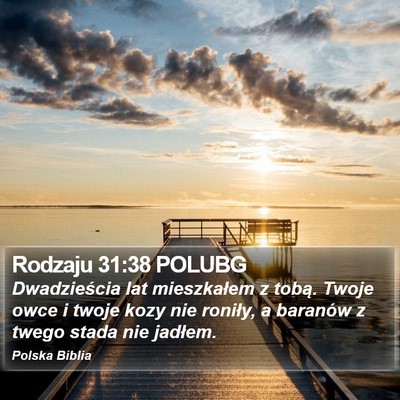 Rodzaju 31:38 POLUBG Bible Verse Image