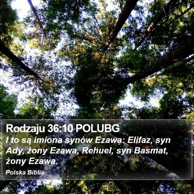 Rodzaju 36:10 POLUBG Bible Verse Image