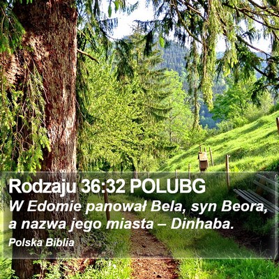 Rodzaju 36:32 POLUBG Bible Verse Image