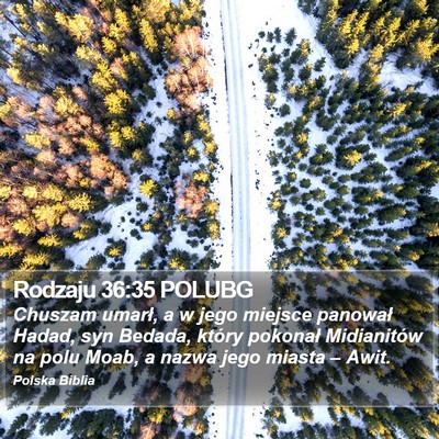 Rodzaju 36:35 POLUBG Bible Verse Image