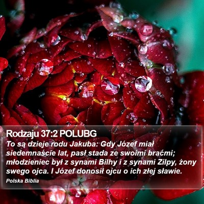 Rodzaju 37:2 POLUBG Bible Verse Image