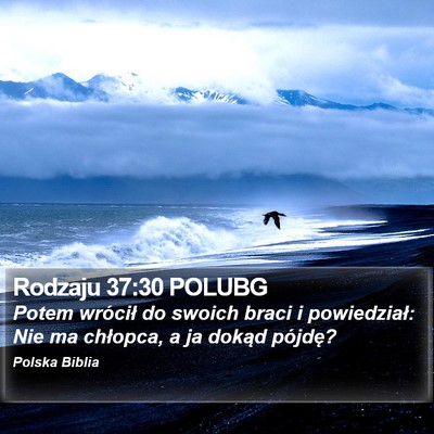 Rodzaju 37:30 POLUBG Bible Verse Image