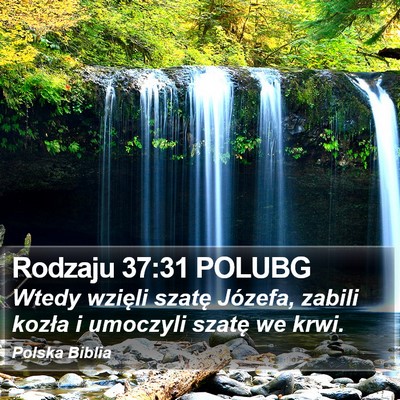 Rodzaju 37:31 POLUBG Bible Verse Image
