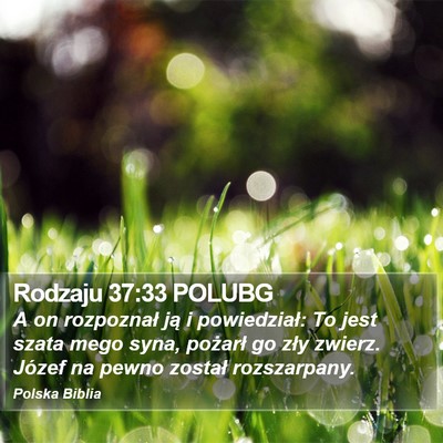 Rodzaju 37:33 POLUBG Bible Verse Image