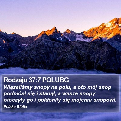 Rodzaju 37:7 POLUBG Bible Verse Image