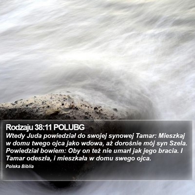 Rodzaju 38:11 POLUBG Bible Verse Image