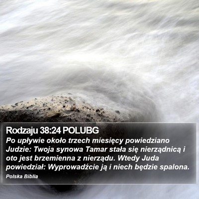 Rodzaju 38:24 POLUBG Bible Verse Image