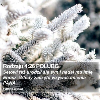 Rodzaju 4:26 POLUBG Bible Verse Image