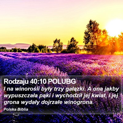 Rodzaju 40:10 POLUBG Bible Verse Image