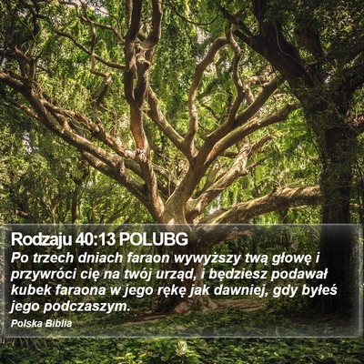 Rodzaju 40:13 POLUBG Bible Verse Image