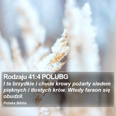 Rodzaju 41:4 POLUBG Bible Verse Image