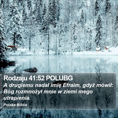 Rodzaju 41:52 POLUBG Bible Verse Image
