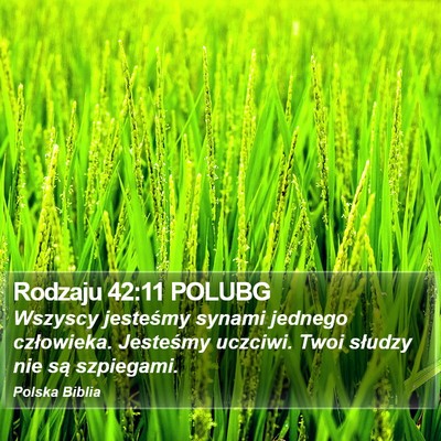 Rodzaju 42:11 POLUBG Bible Verse Image