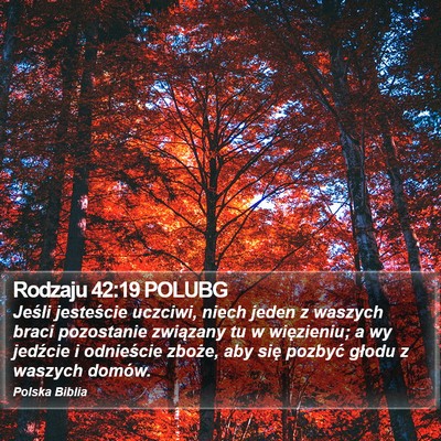Rodzaju 42:19 POLUBG Bible Verse Image