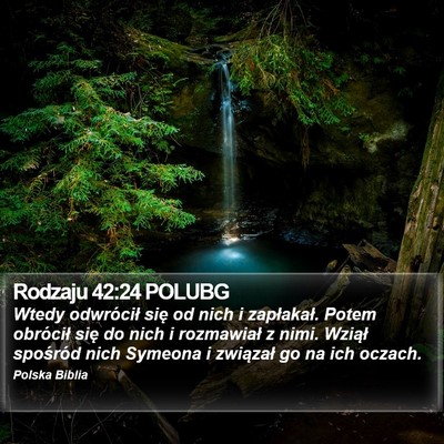Rodzaju 42:24 POLUBG Bible Verse Image