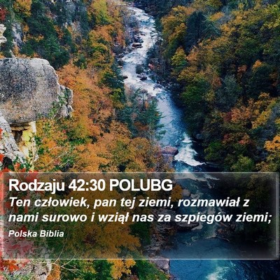 Rodzaju 42:30 POLUBG Bible Verse Image