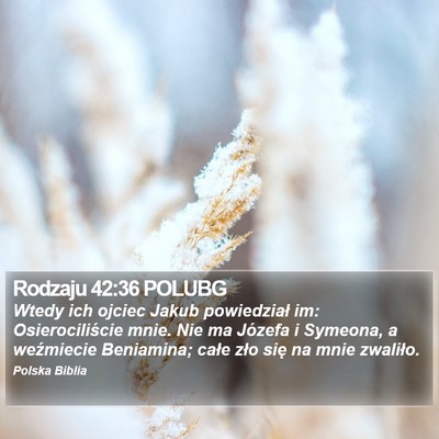 Rodzaju 42:36 POLUBG Bible Verse Image