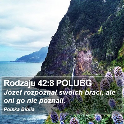 Rodzaju 42:8 POLUBG Bible Verse Image