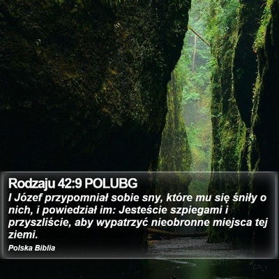 Rodzaju 42:9 POLUBG Bible Verse Image