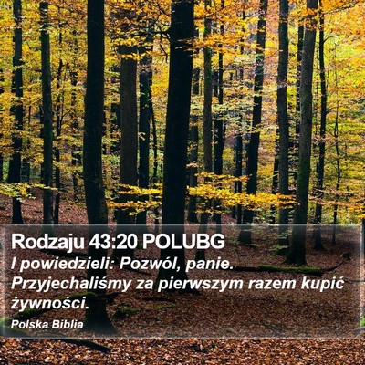 Rodzaju 43:20 POLUBG Bible Verse Image