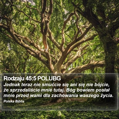 Rodzaju 45:5 POLUBG Bible Verse Image
