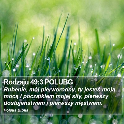 Rodzaju 49:3 POLUBG Bible Verse Image