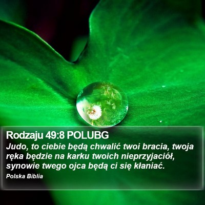 Rodzaju 49:8 POLUBG Bible Verse Image