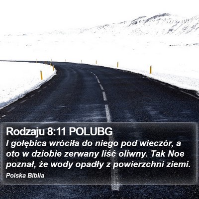 Rodzaju 8:11 POLUBG Bible Verse Image