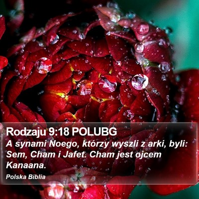 Rodzaju 9:18 POLUBG Bible Verse Image