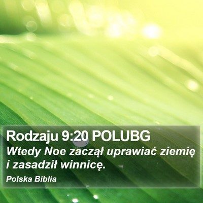 Rodzaju 9:20 POLUBG Bible Verse Image