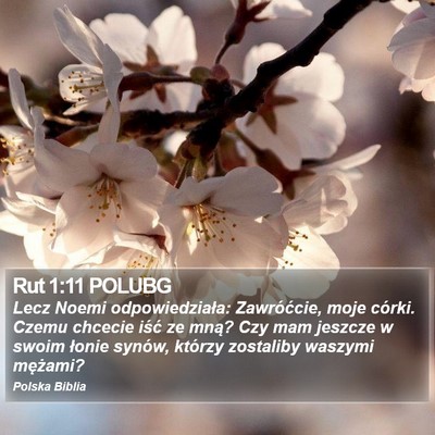 Rut 1:11 POLUBG Bible Verse Image