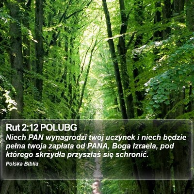 Rut 2:12 POLUBG Bible Verse Image