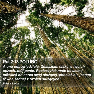 Rut 2:13 POLUBG Bible Verse Image