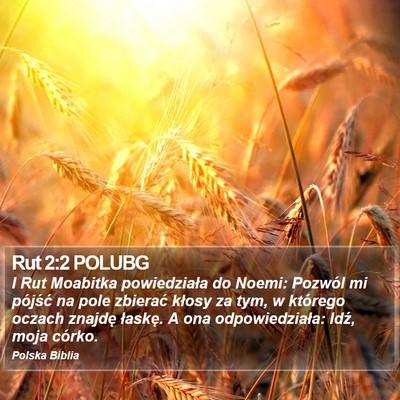 Rut 2:2 POLUBG Bible Verse Image